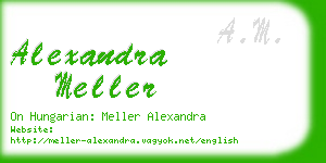 alexandra meller business card